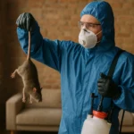 Дератизация помещений